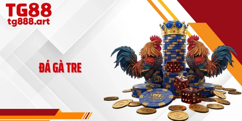 Đá Gà Tre TG88 - Nơi Chiến Lược Lên Ngôi, Phản Xạ Là Vũ Khí